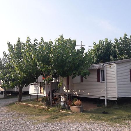 Camping Vila Village Sant Feliu de Buixalleu Bagian luar foto