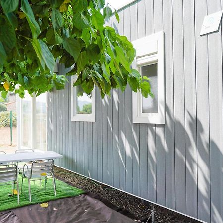 Camping Vila Village Sant Feliu de Buixalleu Bagian luar foto