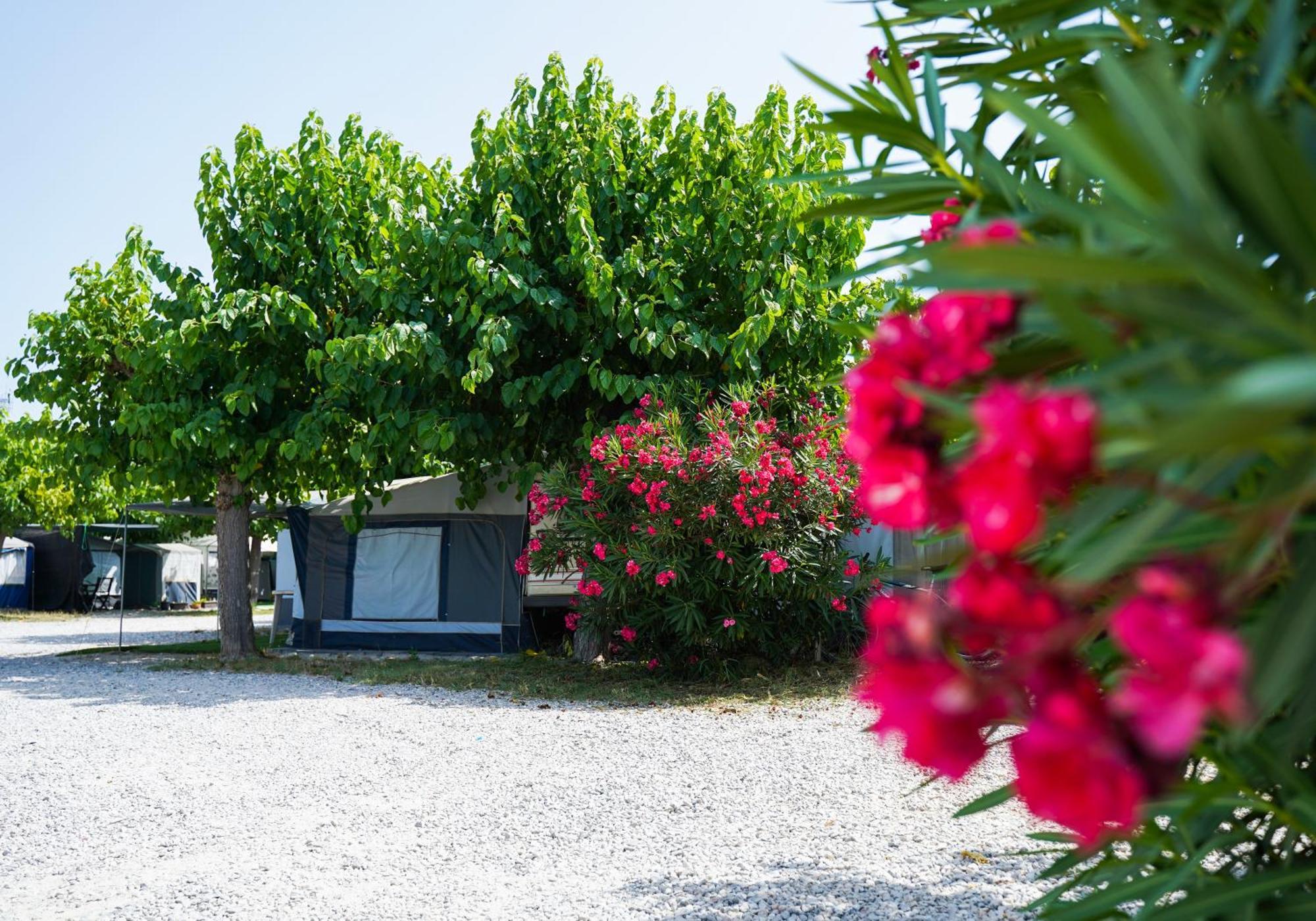 Camping Vila Village Sant Feliu de Buixalleu Bagian luar foto