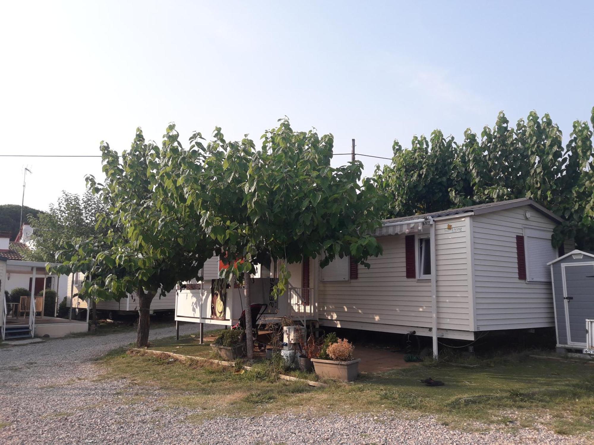 Camping Vila Village Sant Feliu de Buixalleu Bagian luar foto